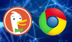 DuckDuckGoҪֹGoogle¸ٷ